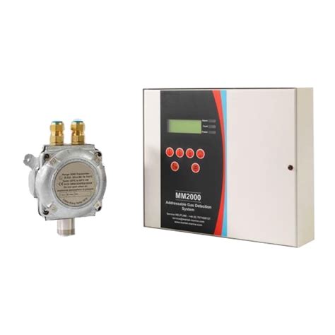 Fixed Online Gas Detector agency|fixed detector system.